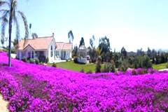 all inclusive wedding fallbrook.